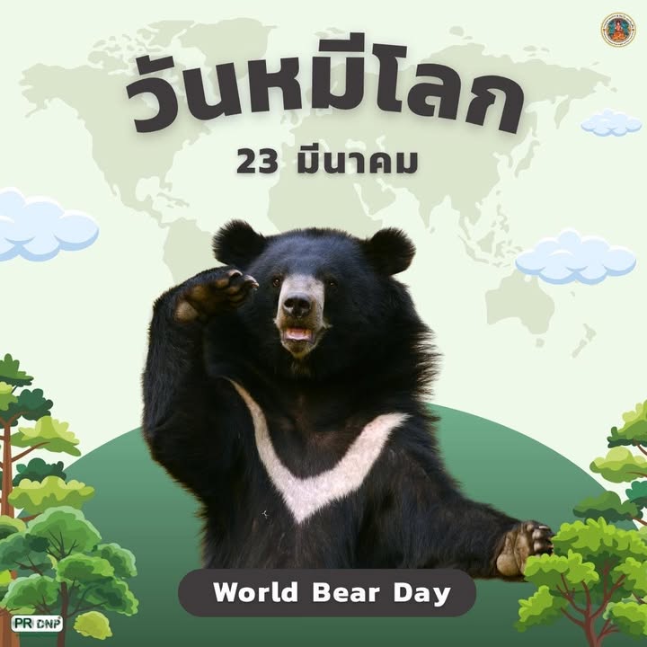 23-มีนาคม-วันหมีโลก-(world-endure-day)-ส่งเสริมการสร้างความต