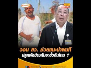 วอน สว. ช่วยแนะนำผมที ปลูกผักข้างกันจะฮั้วกันไหม ? อัพเดทข่าว