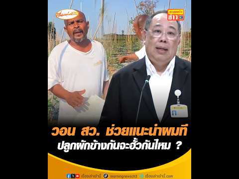 วอน สว. ช่วยแนะนำผมที ปลูกผักข้างกันจะฮั้วกันไหม ? อัพเดทข่าว