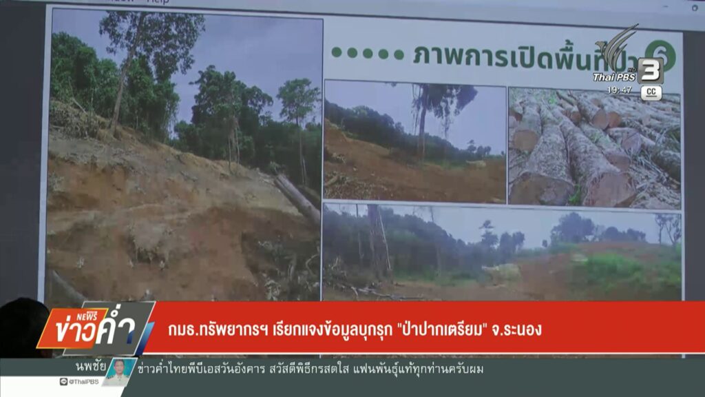 กมธทรัพยากรฯ-เรียกแจงข้อมูลบุกรุก-“ป่าปากเตรียม”-จ.ระนอง-เต