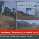 กมธทรัพยากรฯ-เรียกแจงข้อมูลบุกรุก-“ป่าปากเตรียม”-จ.ระนอง-เต