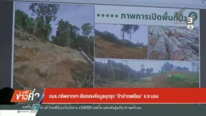 กมธทรัพยากรฯ-เรียกแจงข้อมูลบุกรุก-“ป่าปากเตรียม”-จ.ระนอง-เต