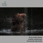 -รางวัลยอดเยี่ยม-ภายใต้โครงการปลูกจิตสำนึกอนุรักษ์ธรรรมชาติ