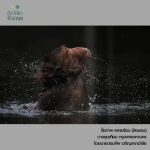 -รางวัลยอดเยี่ยม-ภายใต้โครงการปลูกจิตสำนึกอนุรักษ์ธรรรมชาติ