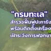 -กรมทะเล-สำรวจฟื้นฟูปะการังเกาะไข่-พบปะการังฟื้นตัวดี-พร้อม