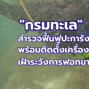 -กรมทะเล-สำรวจฟื้นฟูปะการังเกาะไข่-พบปะการังฟื้นตัวดี-พร้อม