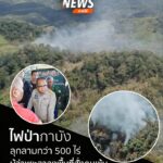 เกิดเหตุไฟไหม้ป่าในพื้นที่หมู่-7-และหมู่-8-บ้านคลองปุด-ตำบลบ