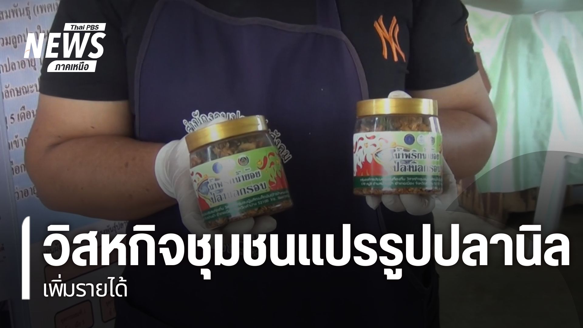 (26/3/69)-…-มีกลุ่มวิสาหกิจชุมชน-จังหวัดลำปาง-เลี้ยงปลาในบ