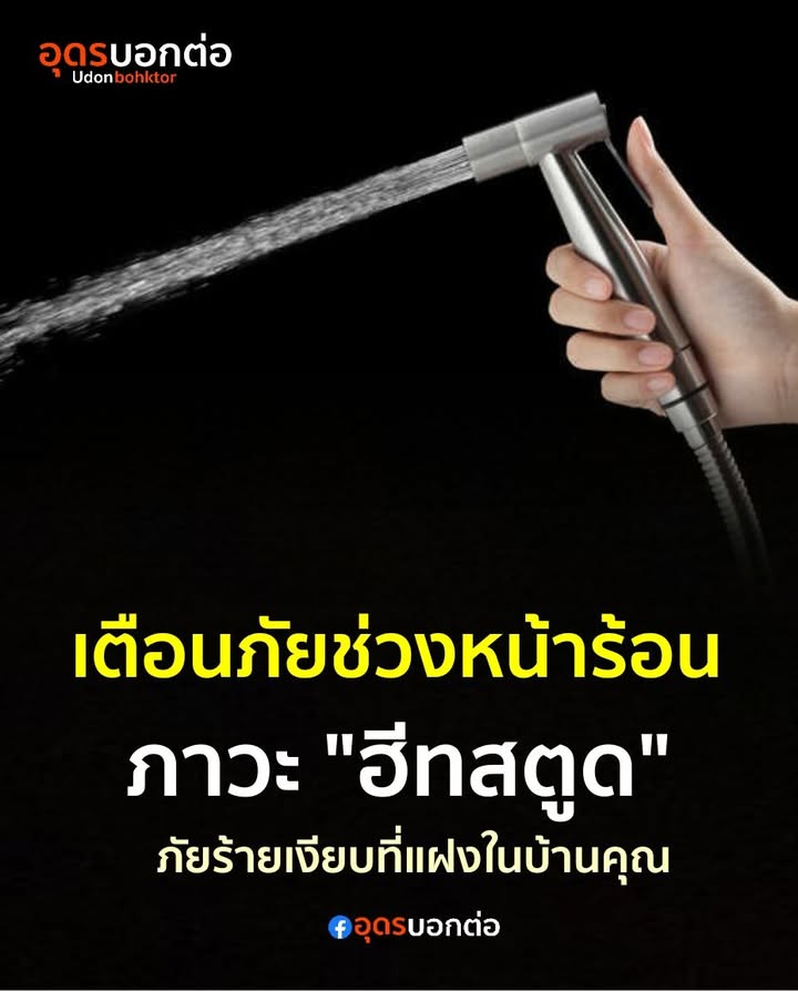 แจ้งเตือน️ภัยร้ายเงียบที่แฝงตัวในบ้านของคุณในช่วงหน้าร้อน-น