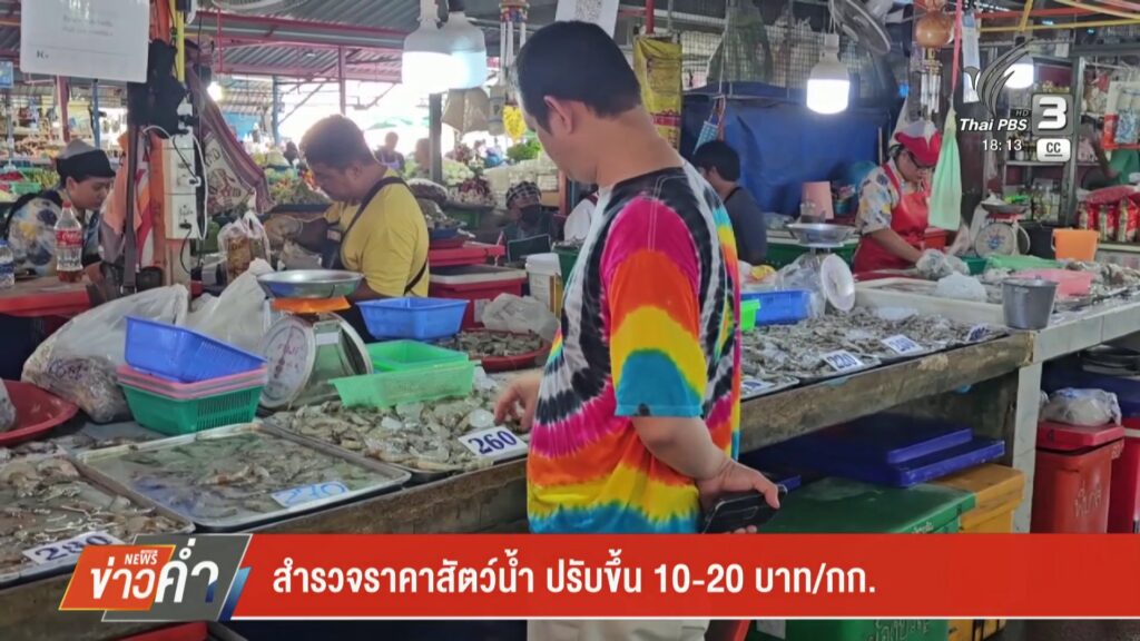 สำรวจราคาสัตว์น้ำ-ปรับขึ้น-10-–-20-บาท/กก.-ข่าวใต้แลได้ที่เ