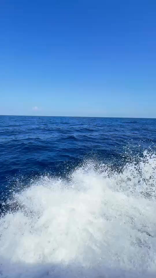 -ทช.-ลุยกู้วิกฤตทะเล-ระดมพลัง-1,000-คน-ดำน้ำเก็บขยะ-809