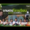เกษตรโรงเรียนชุมชนดอยช้าง | มหาอำนาจบ้านนา