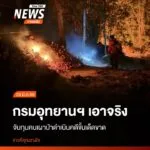 กรมอุทยานแห่งชาติ-สัตว์ป่า-และพันธุ์พืช-เอาจริง-เดินหน้าจับก