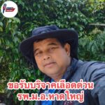 หาดใหญ่-พี่ไพรัช-ศิริเมฆ-เป็นครูมืออาชีพ-รัก-และฝึกฝนนักเร-|-2026-03-31-14:26:00