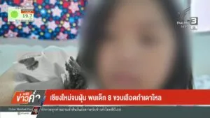 เชียงใหม่จมฝุ่น-พบเด็ก-8-ขวบเลืoดกำเดาไหล-(feed--wi