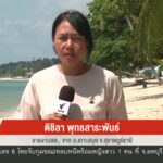 สด…จาก-อเกาะสมุย-จ.สุราษฎร์ธานี-“นอมินีต่างชาติ”-เปิดธุรก