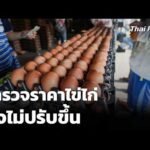 สำรวจราคาไข่ไก่ ยังไม่ปรับขึ้น | ข่าวค่ำ 2 เม.ย. 69