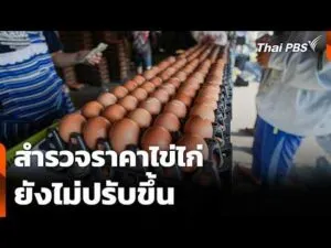สำรวจราคาไข่ไก่ ยังไม่ปรับขึ้น | ข่าวค่ำ 2 เม.ย. 69