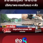 ล่าฆาตกรทุบหัว-“เจ้าอาวาส”-มรณภาพหน้าพระประธาน-|ลุยชนข่าว-|2เมย.69