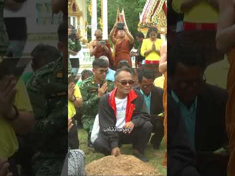 ดาบวิชัย “คนบ้าปลูกต้นไม้” ด้วยความใฝ่ฝันและอุดมการณ์ ที่อยากเห็นแผ่นดินปรางค์กู่อุดมสมบูรณ์