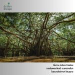 -รางวัลดีเด่น-ภายใต้โครงการปลูกจิตสำนึกอนุรักษ์ธรรรมชาติและ