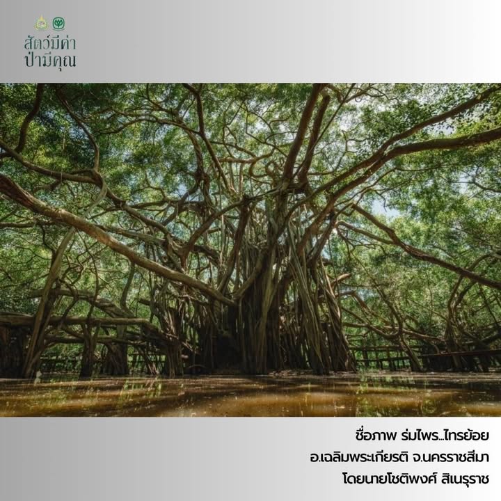 -รางวัลดีเด่น-ภายใต้โครงการปลูกจิตสำนึกอนุรักษ์ธรรรมชาติและ