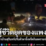 วันที่-3-มีค.-2569-ผู้สื่อข่าวรายงานว่า-พบชาวบ้านโคกบูรณ์-ต