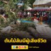 ต้นไม้ใหญ่ล้มทับเต็นท์-กลางงานประเพณีฯ-มีผู้เสียชีวิต-2-รายแ-|-2026-04-03-20:14:00