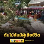 ต้นไม้ใหญ่ล้มทับเต็นท์-กลางงานประเพณีฯ-มีผู้เสียชีวิต-2-รายแ-|-2026-04-03-20:14:00