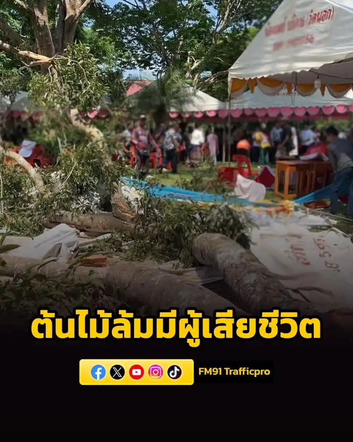 ต้นไม้ใหญ่ล้มทับเต็นท์-กลางงานประเพณีฯ-มีผู้เสียชีวิต-2-รายแ-|-2026-04-03-20:14:00