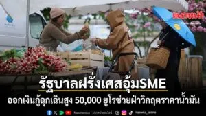 4-เมษายน-2569-สำนักข่าวต่างประเทศรายงานว่า-รัฐบาลฝรั่งเศสได้