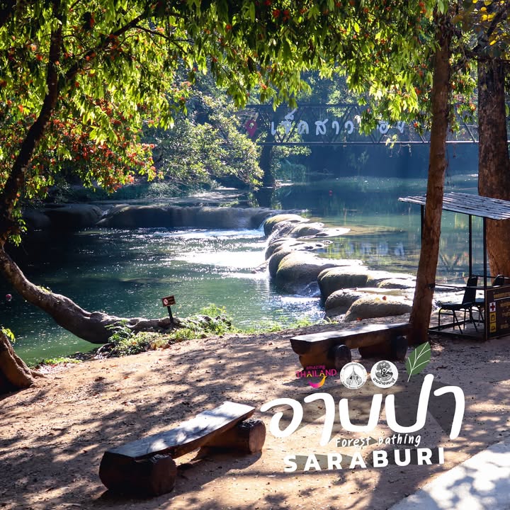 อาบป่า…พักกาย-พักใจ-ใกล้ธรรมชาติ-ใครกำลังเหนื่อย-ๆ-อยากพ