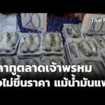 ปลาทูตลาดเจ้าพรหม ยังไม่ขึ้นราคา แม้น้ำมันแพง | ข่าวเที่ยง 5 เม.ย. 69