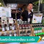 ผลักดันพริกไทยปะเหลียน-จ.ตรัง-ข่าวใต้แลได้ที่เรา-ne