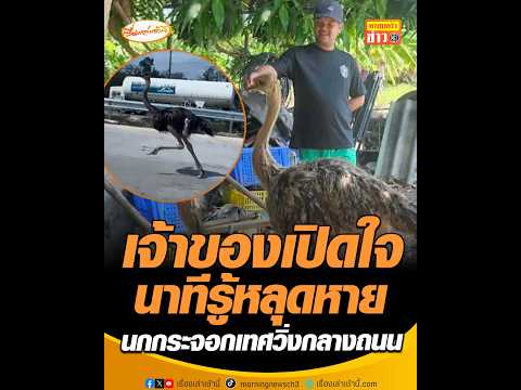 เจ้าของเปิดใจนาทีรู้หลุดหาย นกกระจอกเทศวิ่งกลางถนน อัพเดทข่าว