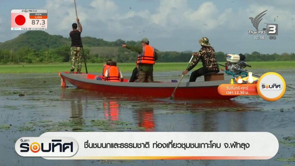 ชื่นชมนกและธรรมชาติ-ท่องเที่ยวชุมชนเกาะโคบ-จ.พัทลุง-ข่าวใต้