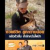 ช่วยชีวิต ลูกกวางน้อย กลัวตัวสั่น สำลักควันไฟป่า อัพเดทข่าว