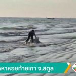 ขุดหาหอยท้ายเภา-จ.สตูล-ข่าวใต้แลได้ที่เรา-news-#tha