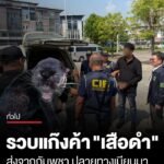 เจ้าหน้าที่บุกรวบเครือข่ายค้า-“เสือดำ”-ข้ามชาติ-คาลานจอดห้าง-อ.แม่สอด-พบส่งจากกัมพูชา-ปลายท