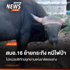 เจ้าหน้าที่สำนักบริหารพื้นที่อนุรักษ์ที่-16-ร่วมกับ-สถานีวิจ