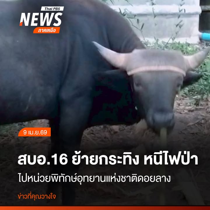 เจ้าหน้าที่สำนักบริหารพื้นที่อนุรักษ์ที่-16-ร่วมกับ-สถานีวิจ