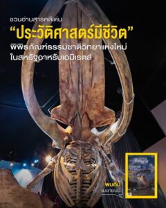 บางครั้งการทำความเข้าใจตัวเราให้มากขึ้น-อาจต้องเริ่มจากการทำ