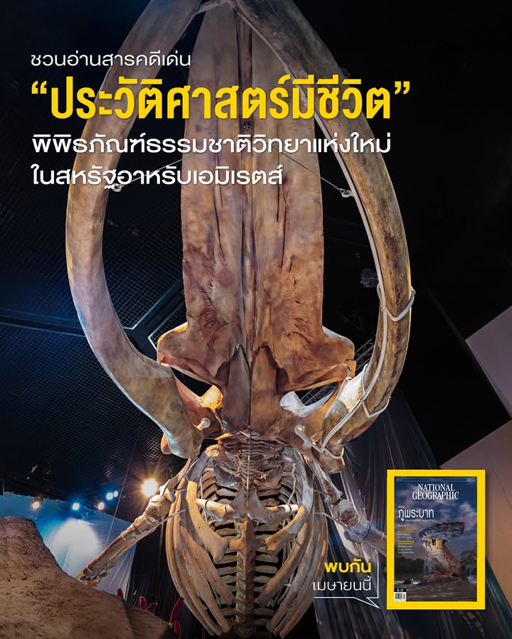 บางครั้งการทำความเข้าใจตัวเราให้มากขึ้น-อาจต้องเริ่มจากการทำ