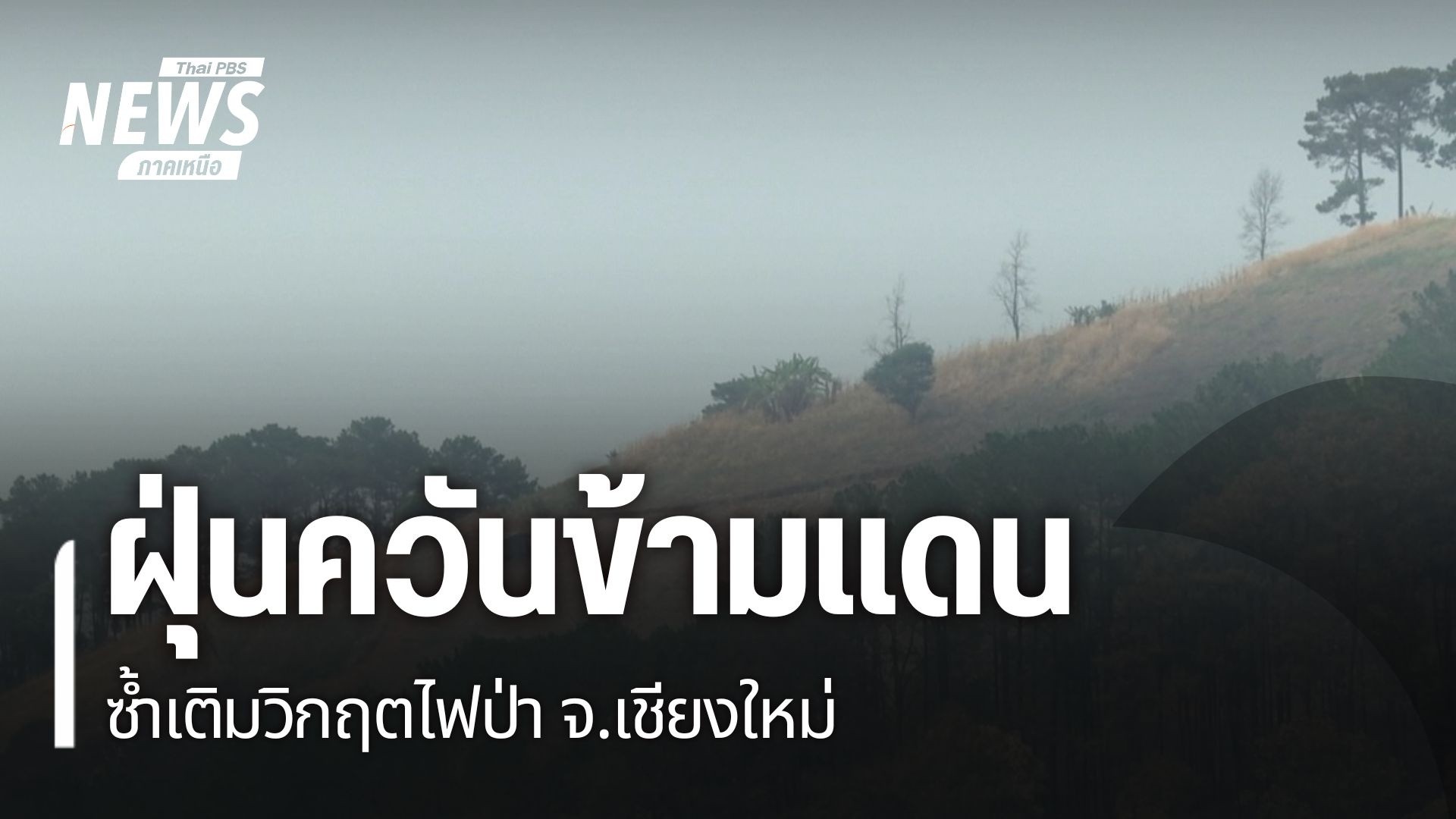 กว่า-2-สัปดาห์ที่ปัญหาไฟป่าและฝุ่น-pm-2.5-กระทบสุขภาพ-โดยเฉพ