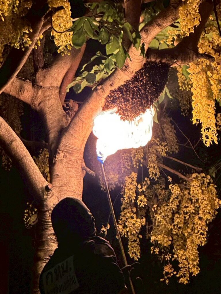 ช่วยเหลือประชาชนจำนวน-8-เหตุดังนี้-เหตุที่-1-กำจัดรังผึ้งขนา