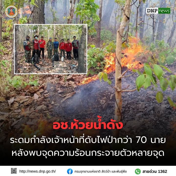 ððð¡ðððð§ð-:-อช.ห้วยน้ำดัง-ระดมกำลังเจ้าหน้าที่ดับไฟป่ากว่า-70