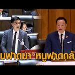 อนุทิน โต้กลับ พริษฐ์ กล่าวหาโยนงาน ยันมีพรสวรรค์ สั่งงานเป็นไม่เคยลืมพระคุณ ส้มโหวตให้เป็นนายกฯ อัพเดทข่าว