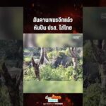 ด่วน สันดานเขมรอีกแล้ว หันปืน ปรส. ใส่ไทย 