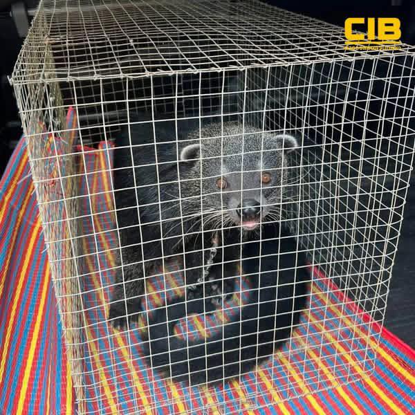 นราธิวาส-ตำรวจสอบสวนกลาง-ตรวจยึดหมีขอสัตว์ป่าคุ้มครอ-|-2026-04-14-13:40:00