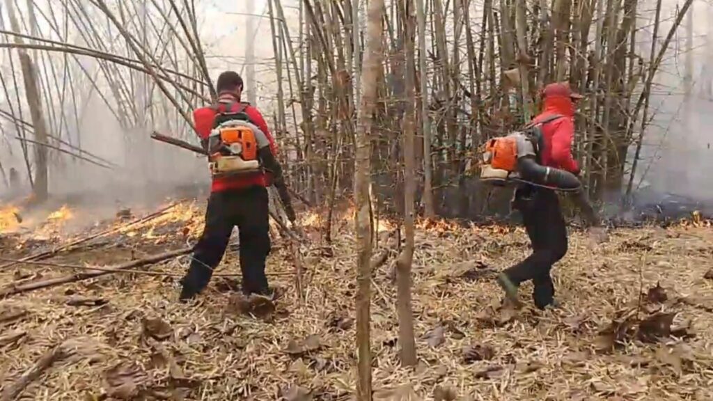 ððð¡ðððð§ð-:-เจ้าหน้าที่สถานีควบคุมไฟป่าลุ่มน้ำปาย-ร่วมกับ-อส.